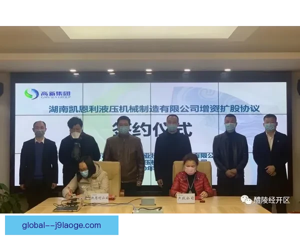 从关键战数据到心理韧性全面评估凯恩大赛表现价值影响力与决定性作用 从关键战数据到心理韧性全面评估凯恩大赛表现价值影响力与决定性作用